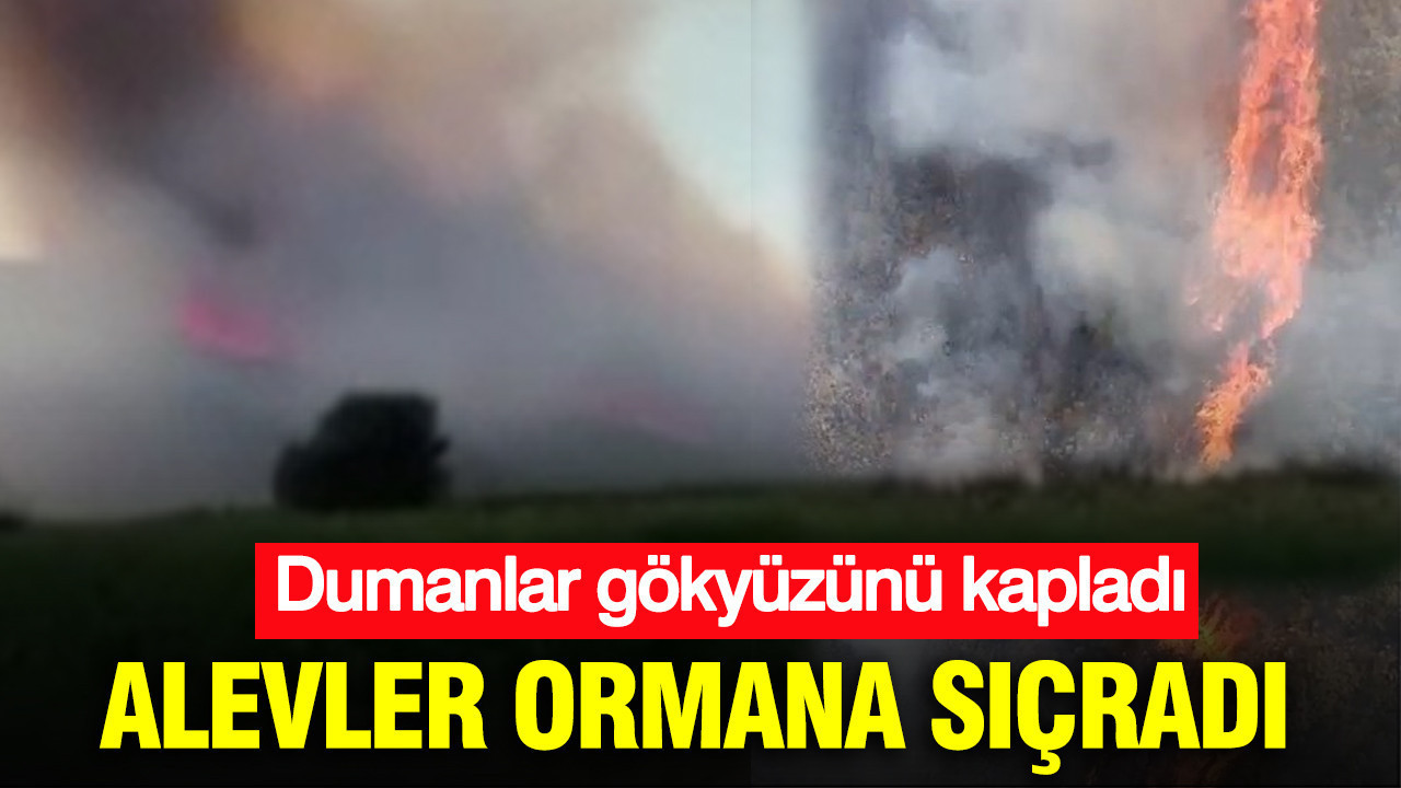 Bursa'da alevler ormana sıçradı: Dumanlar gökyüzünü kapladı: Ekipler seferber oldu
