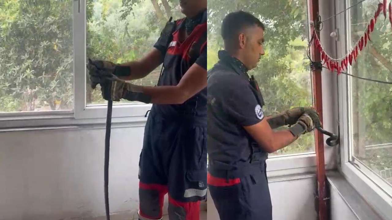 Hatay Dörtyol'da evin penceresine sıkışan yılan itfaiye tarafından kurtarıldı