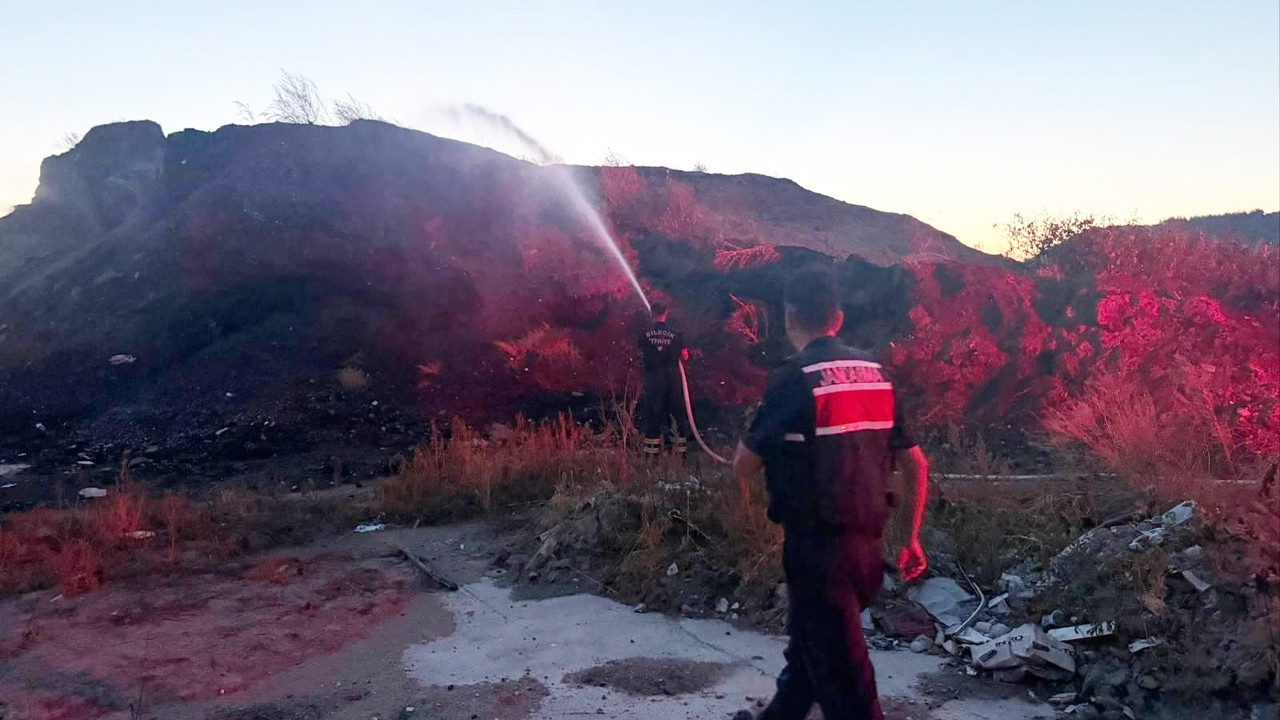 Bilecik’te çıkan ot ve çalılık yangını söndürüldü
