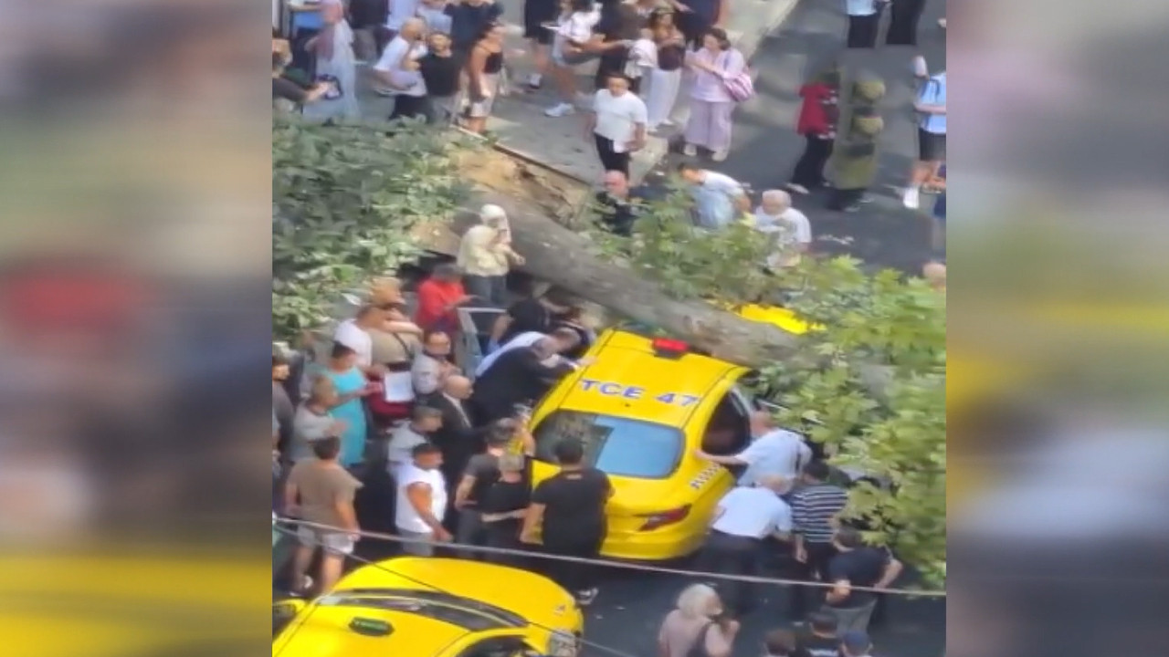 Harbiye’de ulaşım kilitlendi: Devrilen ağaç iki aracı ezdi: Ekipler seferber oldu