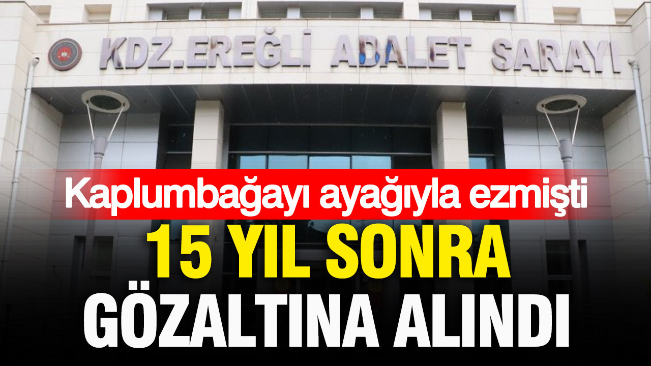 Kaplumbağayı ayağıyla ezmişti: 15 yıl sonra gözaltına alındı