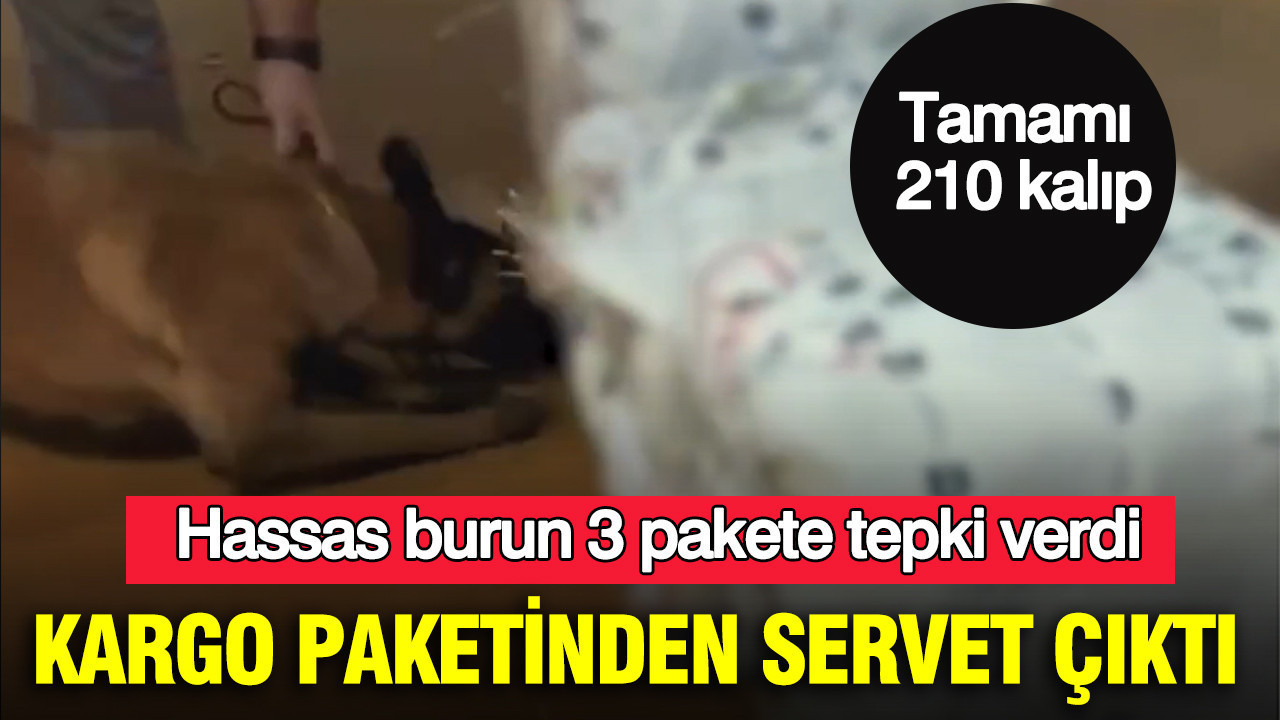Kargo merkezinde 300 milyon liralık uyuşturucu operasyonu