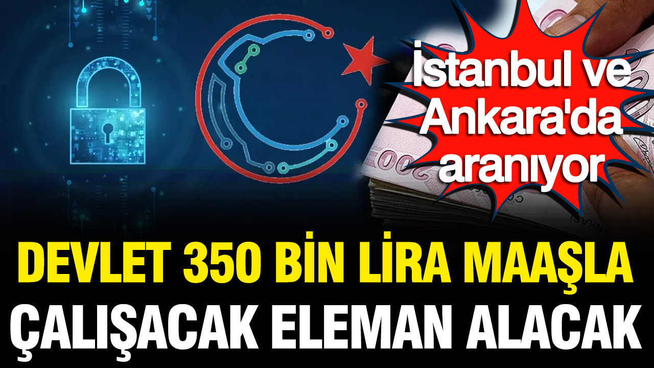Devlet 350 bin lira maaşla çalışacak eleman alacak: İstanbul ve Ankara'da aranıyor