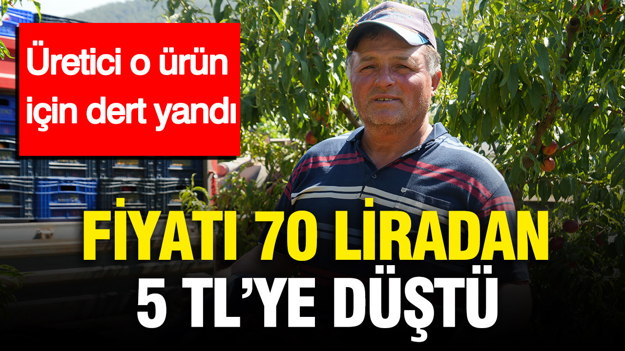 Fiyatı 70 liradan 5 TL’ye düştü: Üretici o ürün için dert yandı