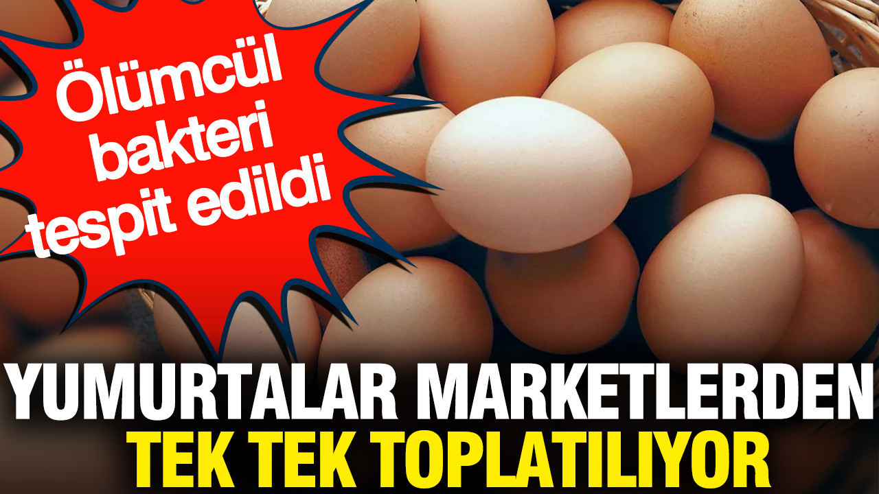 Yumurtalar marketlerden tek tek toplatılıyor: Ölümcül bakteri tespit edildi