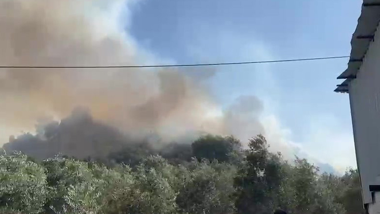 Antalya Aksu’da orman ve zeytinlik alandaki yangına havadan ve karadan müdahale