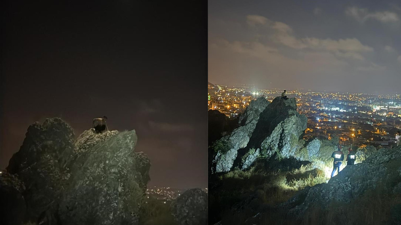 Hatay'da kayalığın zirvesinde uyuyup mahsur kalan vatandaşı AFAD kurtardı