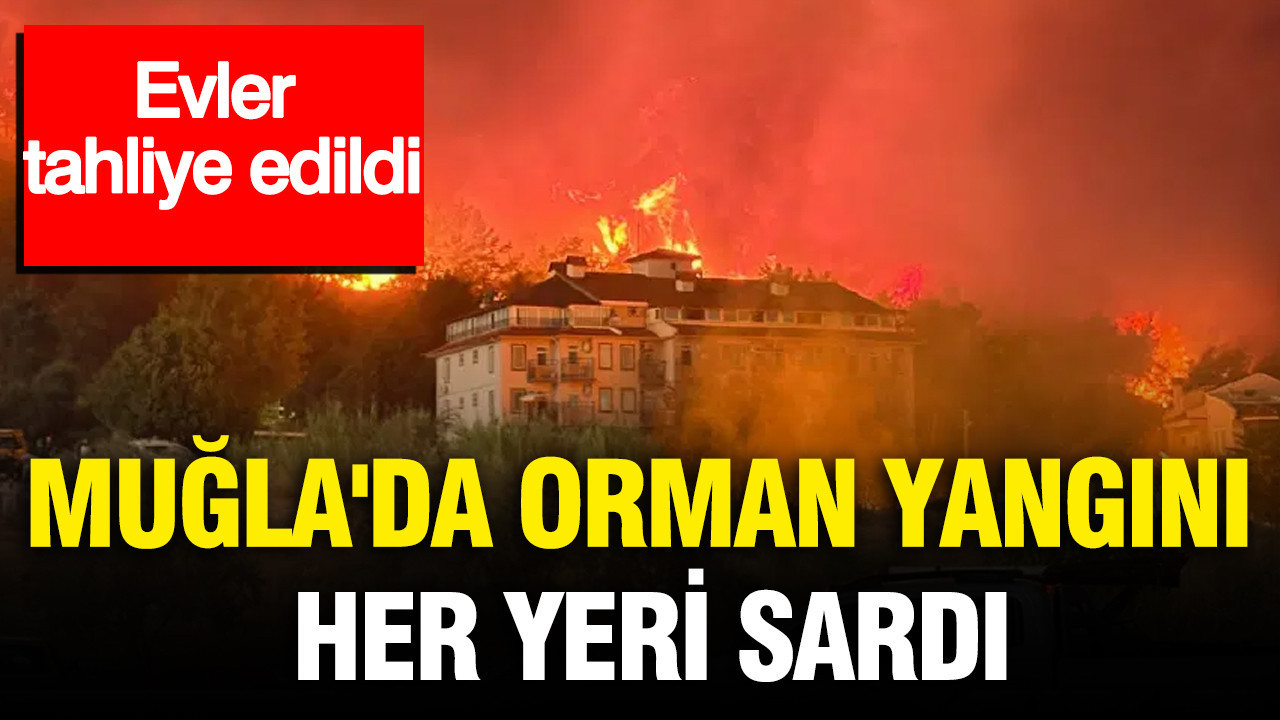 Muğla'da orman yangını her yeri sardı: Evler tahliye edildi