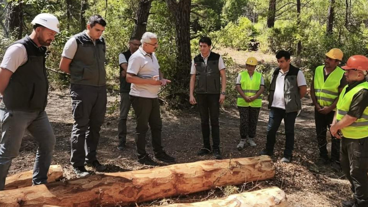 Soma'da yangın önleme ve biyokütle çalışmaları denetlendi