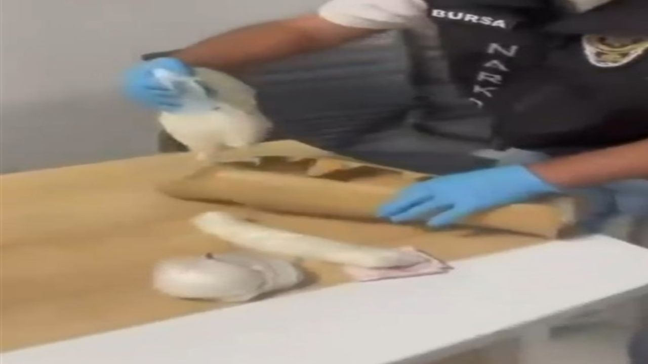 Uyuşturucuyu protez bacağına gizlemiş