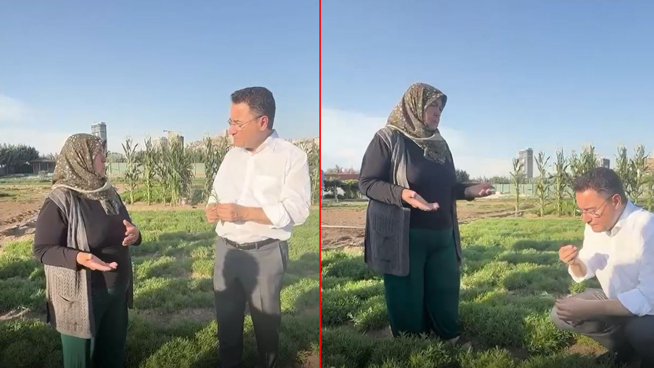 Ali Babacan: Bu şehirlerde bir karış toprak bile boş kalmamalı