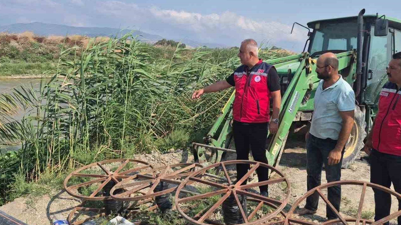 Antakya’da mısır hasadı
