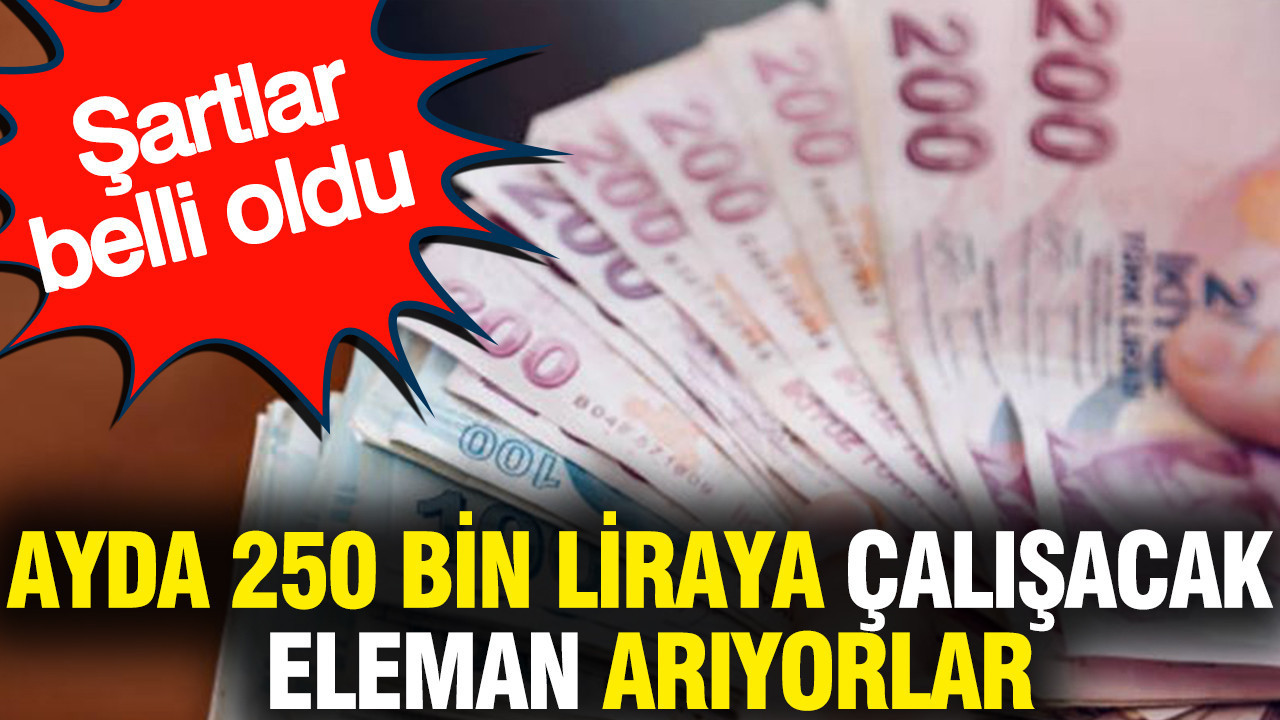 Ayda 250 bin liraya çalışacak eleman arıyorlar: Şartlar belli oldu (29 Ağustos 2026)
