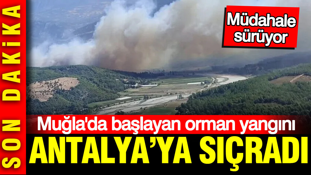 Muğla'da başlayan orman yangını Antalya'ya sıçradı