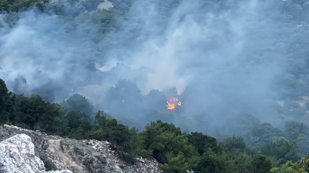 Adıyaman Gölbaşı'nda yıldırım nedeniyle çıkan orman yangını söndürüldü