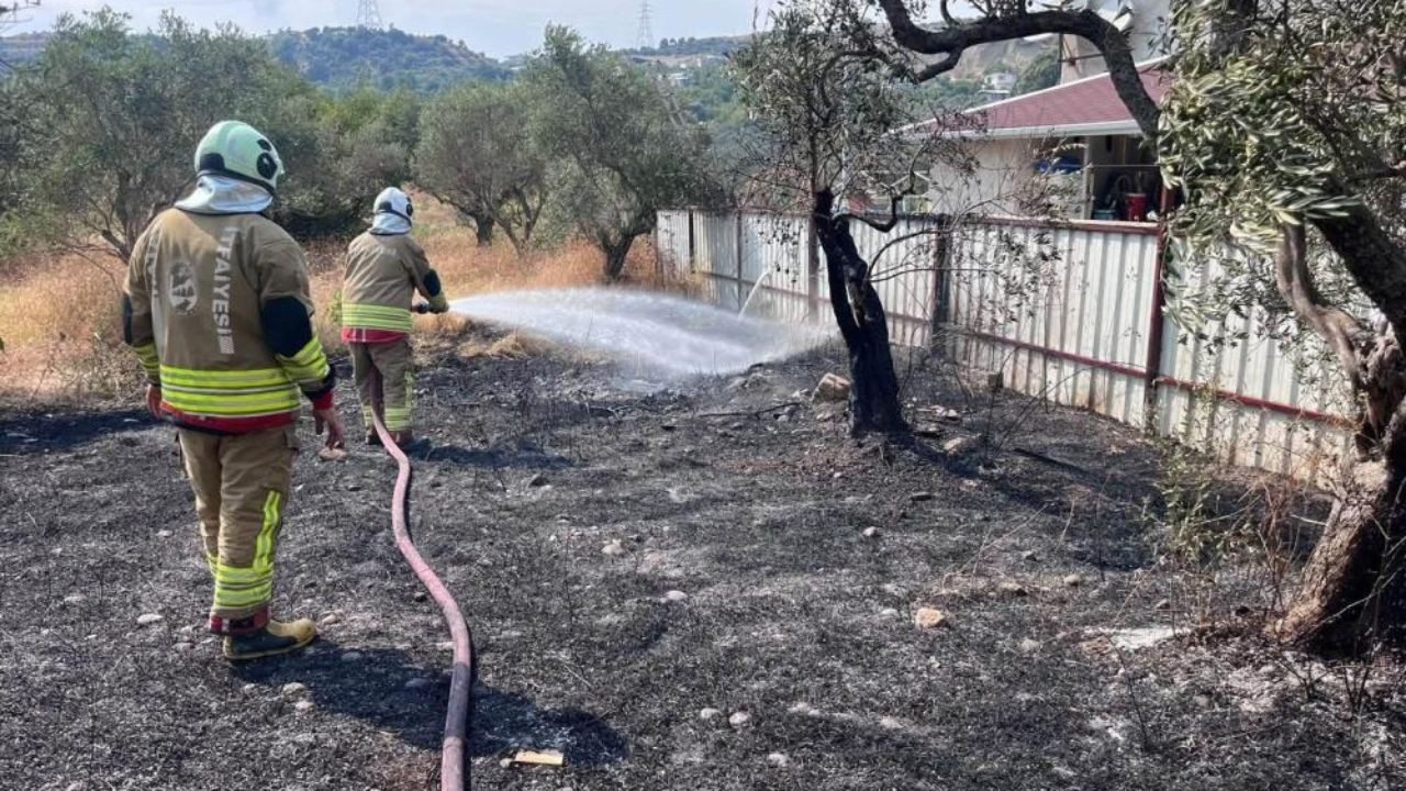 Defne’de zeytinlik alanda yangın paniği