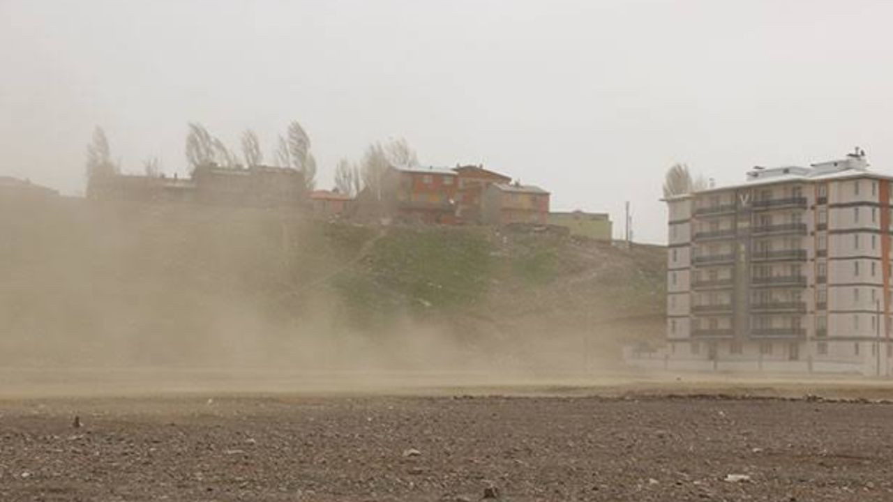 Erzurum'da şiddetli rüzgar: Devrilen ağaç 2 araca zarar verdi