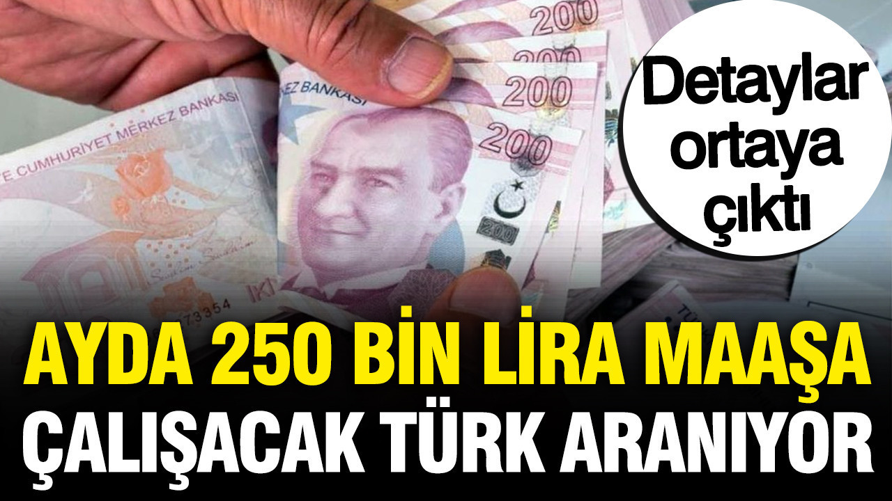 Almanya ayda 250 bin lira maaşa çalışacak Türk arıyor: Detaylar ortaya çıktı