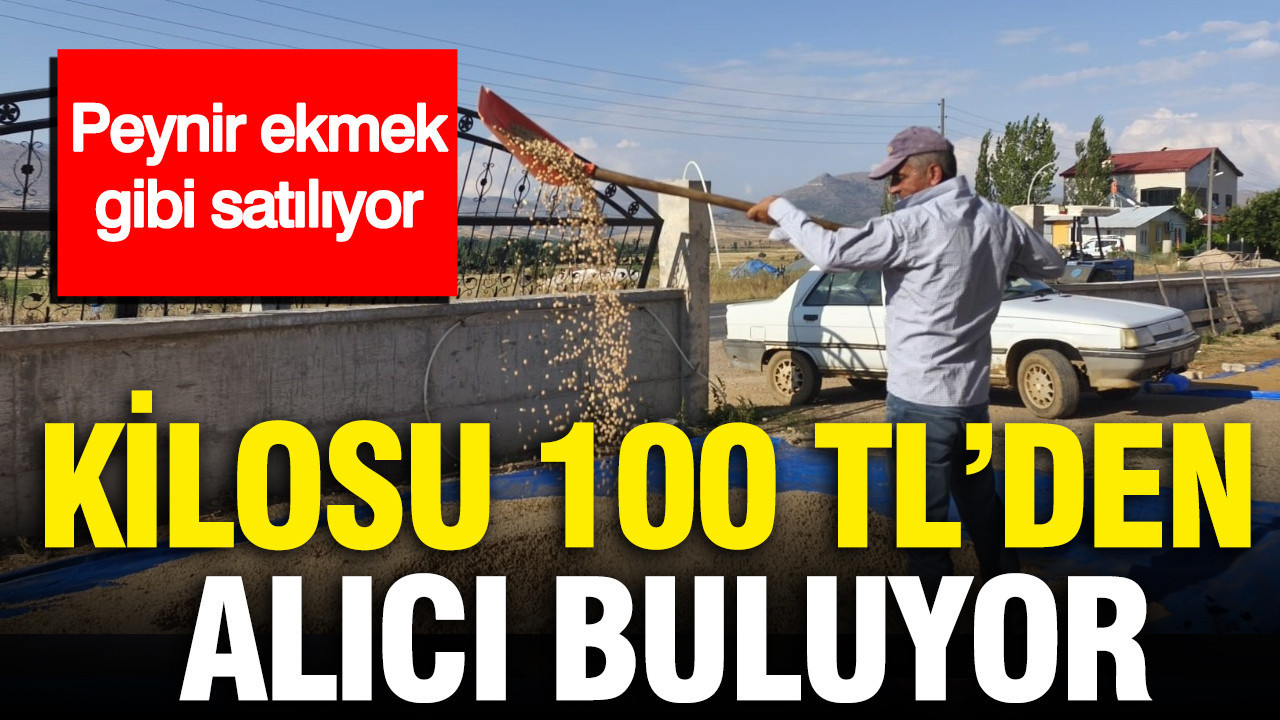 Kilosu 100 TL'den alıcı buluyor: Peynir ekmek gibi satılıyor