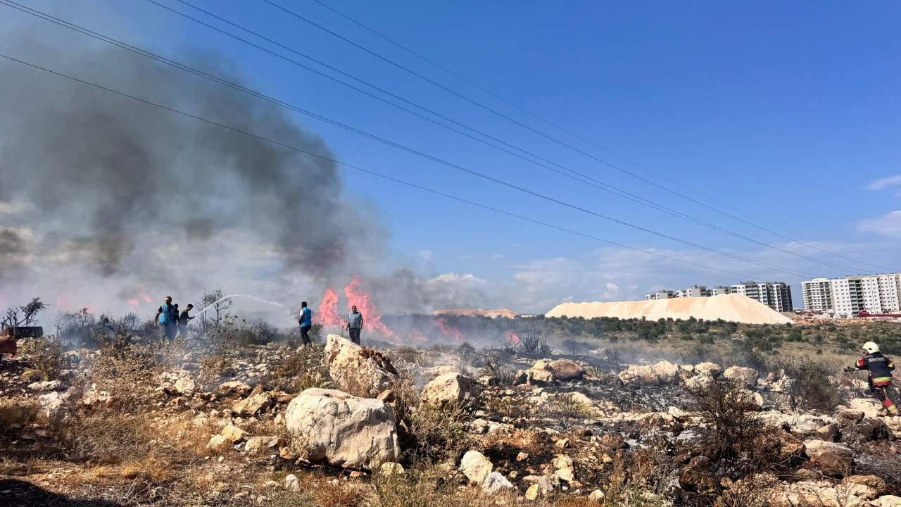 Mersin'de makilik alanda yangın