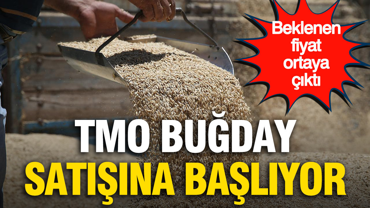 TMO düğmeye bastı: Buğday satışları 1 Eylül’de başlıyor