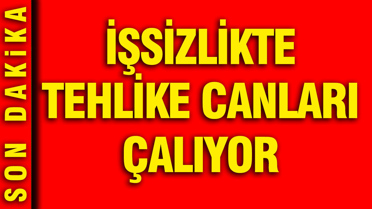 TÜİK'e 2 ay sonra ilk kez işsizlik oranı arttı
