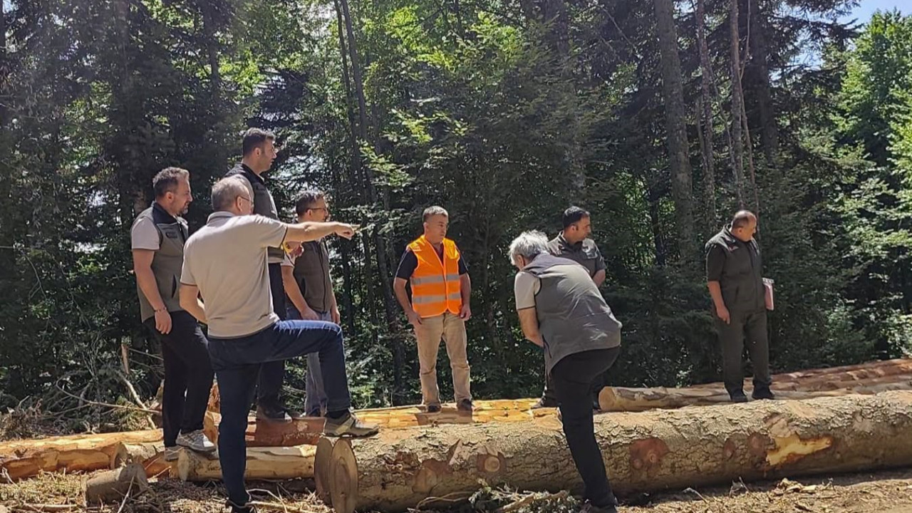 Bolu’da ormancılık çalışmalarına denetim