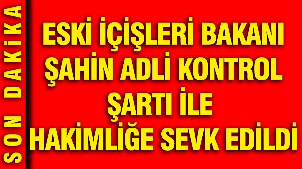 Eski Bakan İdris Naim Şahin adli kontrol talebiyle hakimliğe sevk edildi