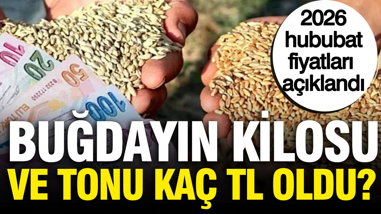 Hububat fiyatları açıklandı: Buğday, arpa ve mısır kaç TL oldu?