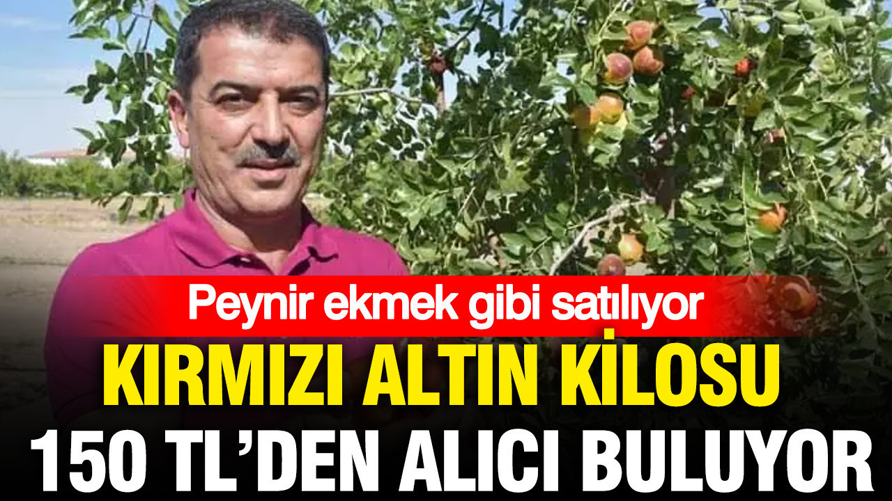 Kırmızı altın kilosu 150 TL’den alıcı buluyor: Peynir ekmek gibi satılıyor