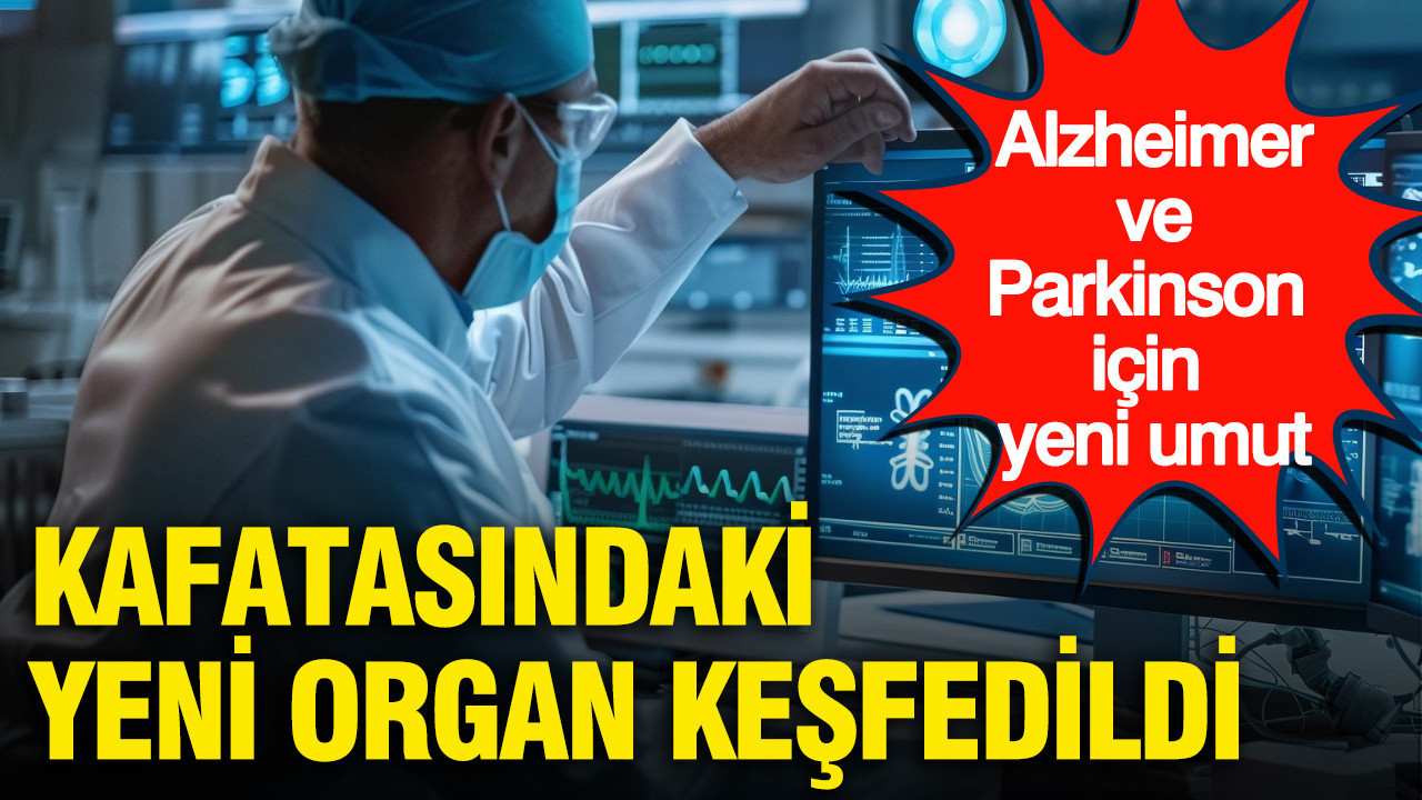 Alzheimer ve Parkinson için yeni umut: Kafatasındaki yeni organ keşfedildi