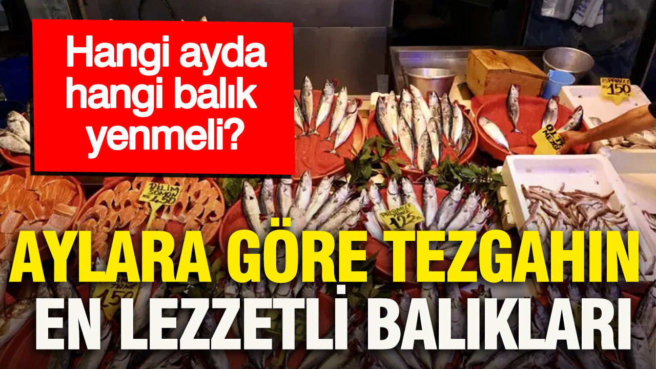 Aylara göre tezgahın en lezzetli balıkları... Hangi ayda hangi balık yenmeli?