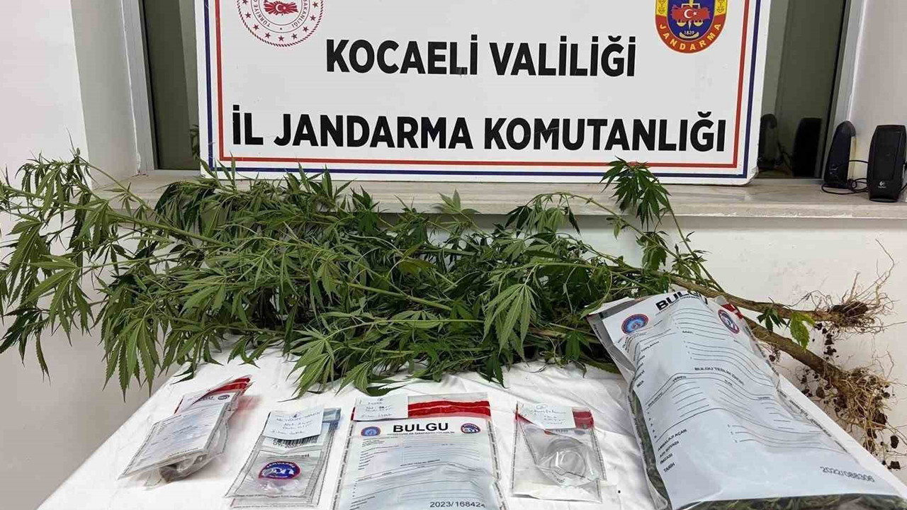 Kocaeli’de 1 kilo esrar ele geçirildi