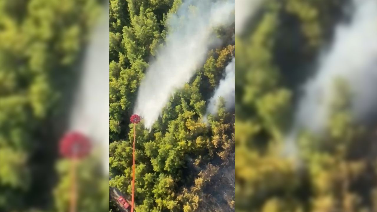 Manavgat'ta orman yangını: Kontrol altına alındı
