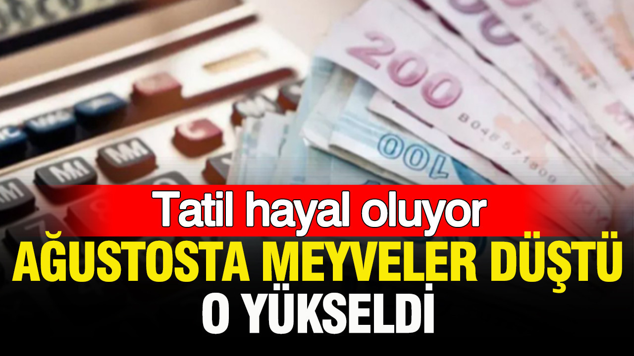 Tatil hayal oluyor: Meyveler düştü, o yükseldi