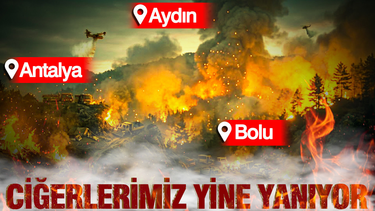 Türkiye’nin ciğerleri yanıyor: Alevlerle amansız mücadele