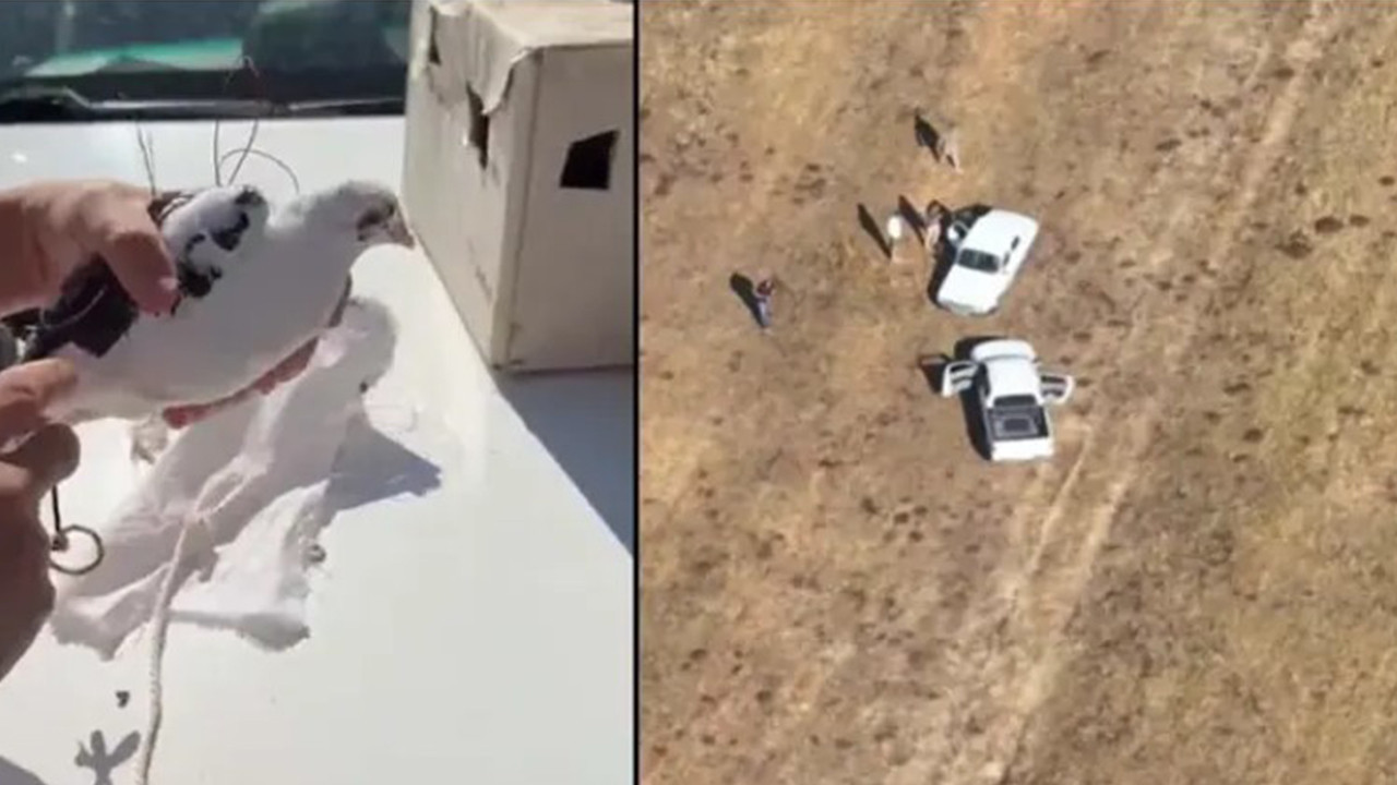 Van’da dronla tespit edildi: Yasa dışı avcılığa ceza