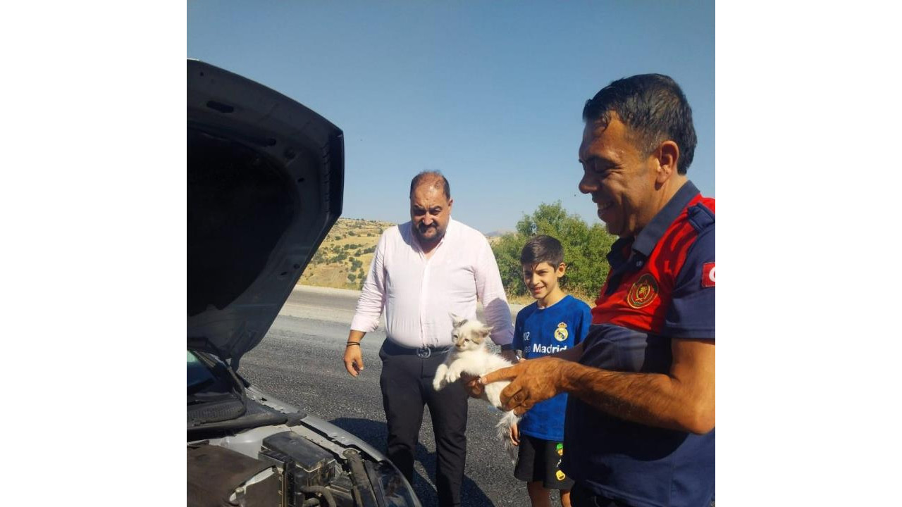 Otomobilin motoruna sıkışan kedi itfaiye ekiplerince kurtarıldı
