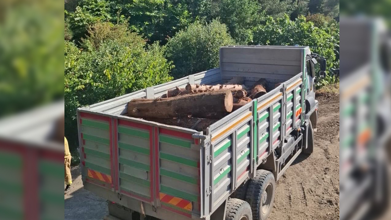İskenderun’da kaçak ağaç kesimlerine işlem yapıldı