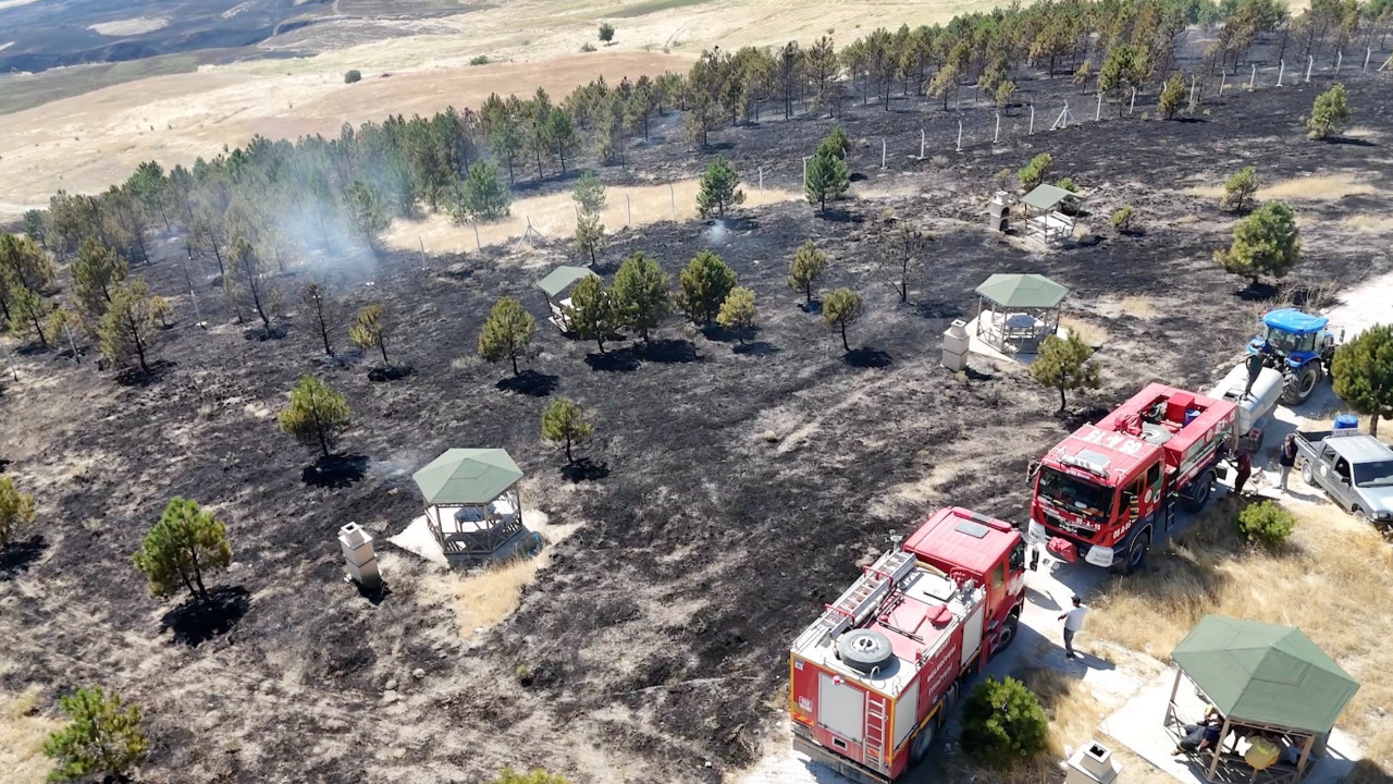 Çorum’da yangın ormana sıçradı: 800 dönüm alan zarar gördü