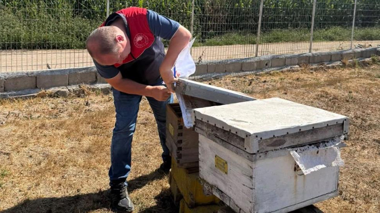Kırklareli Lüleburgaz'da arılı kovan tespiti yapıldı
