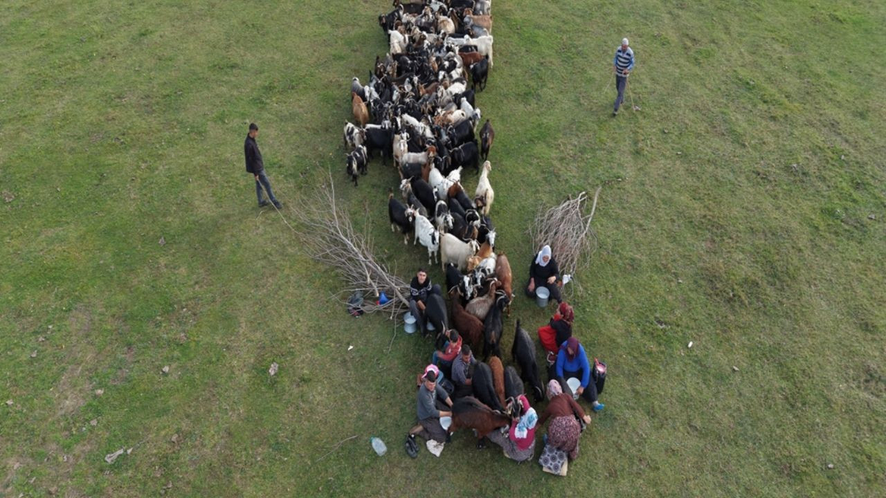 Van ve Bitlis’te göçerlerin zorlu dönüş yolculuğu başladı