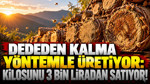 Dededen kalma yöntemle üretiyor: Kilosunu 3 bin liradan satıyor