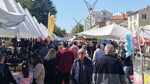 Ceviz festivalinde ziyaretçi yağmuru