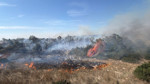 Bilecik’te 2 hektarlık alanda örtü yangını