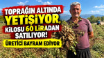 Toprağın altında yetişiyor, kilosu 60 liradan satılıyor: Üreticisi bayram ediyor