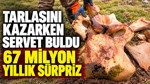 Tarlasını kazarken servet buldu: 67 milyon yıllık sürpriz
