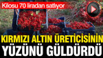 Kırmızı altın hasadı başladı: Kilosu 70 liradan satılıyor