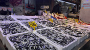 Trabzon'da hamsi ve istavrit fiyatını g&ouml;renler şaşırdı