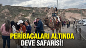 Peribacaları altında deve safarisi: Turizmin incisi Kapadokya’da yer kalmadı